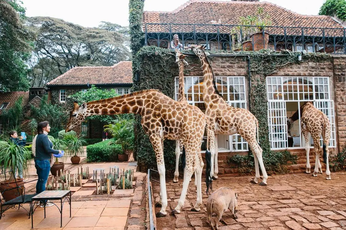 Pianifichi le vacanze? Scopri gli hotel "degli" animali